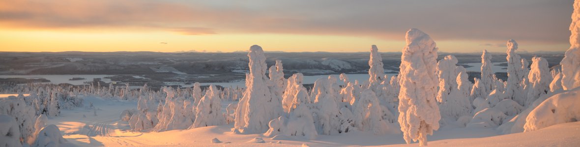 wintersonne in lappland