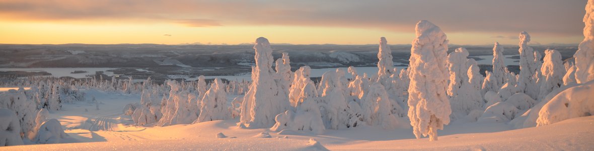 wintersonne in lappland