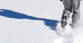 Schneeschuhtour in Lappland
