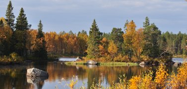 herbst in lappland